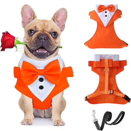 BT Bear Smokinggeschirr, Hundegeschirr mit Leine, formelles Welpengeschirr mit Fliege für Hochzeit, atmungsaktives Netzgewebe, Smoking-Weste für Welpen, kleine Hunde, Orange_M von BT Bear