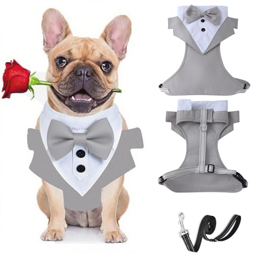 BT Bear Smokinggeschirr, Hundegeschirr mit Leine, formelles Welpengeschirr mit Fliege für Hochzeit, atmungsaktives Netzgewebe, Smoking-Weste für kleine, mittelgroße Hunde, Grau_L von BT Bear