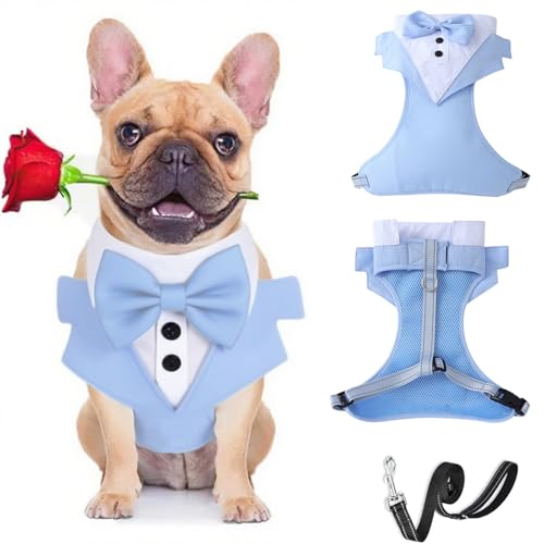 BT Bear Smokinggeschirr, Hundegeschirr mit Leine, formelles Welpengeschirr mit Fliege für Hochzeit, atmungsaktives Netzgewebe, Smoking-Weste für kleine, mittelgroße Hunde, Hellblau_XL von BT Bear