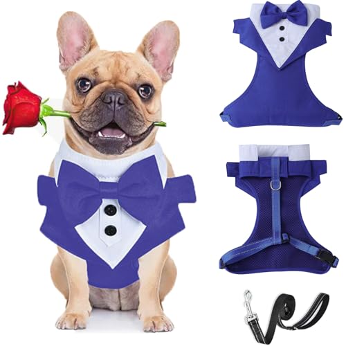 BT Bear Smokinggeschirr, Hundegeschirr mit Leine, formelles Welpengeschirr mit Fliege für Hochzeit, atmungsaktives Netzgewebe, Smoking-Weste für kleine Hunde, blau_L von BT Bear