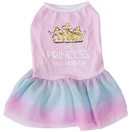 Haustier-Kleidung Welpenrock Prinzessin Kleider Sweetie Sommer Hund Tutu Rock für Katzen Welpen kleine Hunde (Pink, XS) von BT Bear