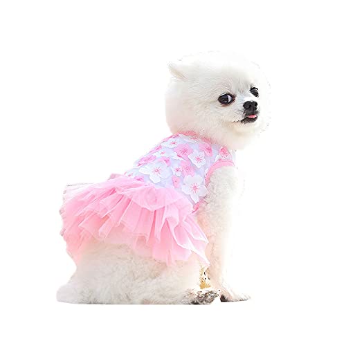 Haustierkleid für Hunde, Welpen, Prinzessinnenkleider, Blumenkleid, Tutu, Spitzenkleid, Rock für kleine Hunde, Mädchen, Katzen, Hunde (Pink, XS) von BT Bear