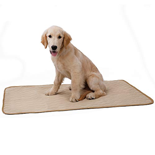 Wasserdichte Hundedecke, waschbar, rutschfest, waschbar, wiederverwendbar, super saugfähig, schnell trocknend, für Sofa, Auto, Käfig, Gras, Bett (mittel-67 x 50 cm, beige) von BT Bear