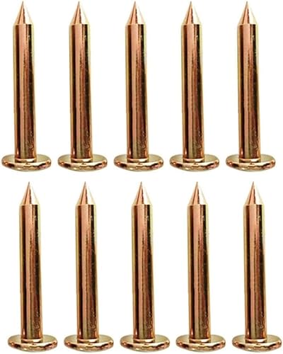 10 Stück 3 cm 5 cm 7 cm 8 cm 10 cm Vermessungsmarkierungen Stahlnägel, Vermessungsstahlnägel Vermessungsmarkierungen Kreuzmessnägel Grenzmarkierungen Vermessungspfähle(7cm) von BTBTB