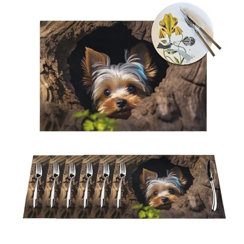1 PVC Platzsets Set Platzsets A Little Yorkshire Terrier Rutschfeste Weben Tischsets 30,5 x 45,7 cm Bauernhaus Langlebig Tischset für Familienessen Hochzeitsfeiern von BTCOWZRV