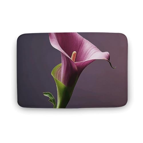 Fußmatte saugfähige Badematte für den Außenbereich, rutschfest, weich, Badezimmerteppich, 50 x 80 cm, Eingangstürmatte für Eingang, violette Calla-Lilie, waschbar, Türteppich für Innenraum Fußmatte saugfähige Badematte für den Außenbereich, rutschfest, weich, Badezimmerteppich, 50 x 80 cm, Eingangstürmatte für Eingang, violette Calla-Lilie, waschbar, Türteppich für Innenraum von BTCOWZRV