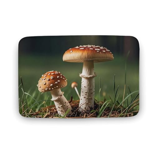 Fußmatte saugfähige Badematte für den Außenbereich, rutschfest, weich, Badezimmerteppich, 50 x 80 cm, Vordertürmatte für Eingang, Spargelteppich, waschbar, Türteppich für Innenraum, Heimdekoration Fußmatte saugfähige Badematte für den Außenbereich, rutschfest, weich, Badezimmerteppich, 50 x 80 cm, Vordertürmatte für Eingang, Spargelteppich, waschbar, Türteppich für Innenraum, Heimdekoration von BTCOWZRV