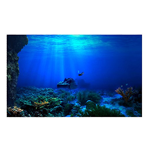 BTER Selbstklebender Hintergrund Langlebiges PVC-Poster für Aquarium(122 * 61cm) von BTER