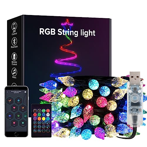 BTF-LIGHTING RGB IC Intelligente String Licht 5M 25LEDs Schwarz Kabel Erdbeere USB LED Lichterkette IP65 Wasserdicht mit IR Fernbedienung Musik mode Timer Verfolgungseffekt für Heimdekoration von BTF-LIGHTING