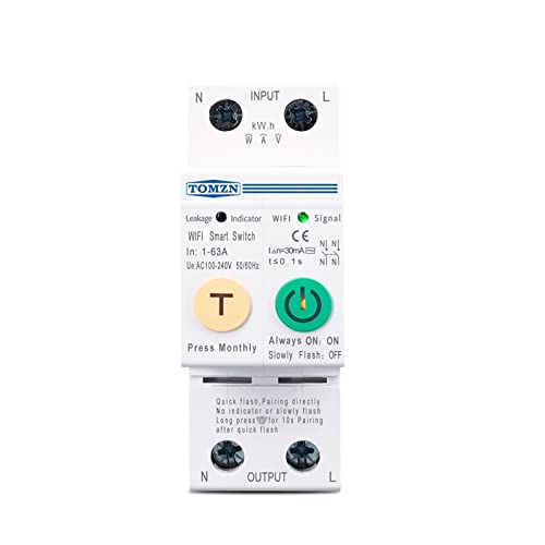 BTMFGVWLB 63A Smartlife 2P WiFi Smart Switch Energiezähler Kwh Metering Überwachung Leistungsschalter Timer Relais MCB von BTMFGVWLB