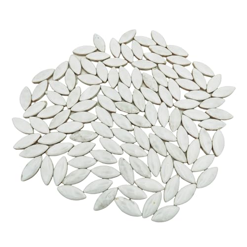 500 g Keramik-Blütenblatt-Mosaikfliesen für Bastelarbeiten, 33,8 mm x 14,8 mm, Weidenblätter, Mosaikfliesenstücke für Mosaikherstellung, Kunstprojekte, Heim- und Outdoor-Dekoration (weiß) von BTMIEY