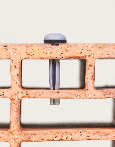 Herkules Dübel mit Pilzkopf je 100 Stück (6,0x60 mm, dunkelgrau) von BTS