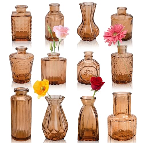 BTSD-home 12 Stück Vasen Set für Blumen, Kleine Vasen für Tischdeko, Hochzeitsdekorationen, Deko Wohnzimmer, rustikale Hochzeit Mittelstücke und Home Decor BTSD-home 12 Stück Vasen Set für Blumen, Kleine Vasen für Tischdeko, Hochzeitsdekorationen, Deko Wohnzimmer, rustikale Hochzeit Mittelstücke und Home Decor von BTSD-home
