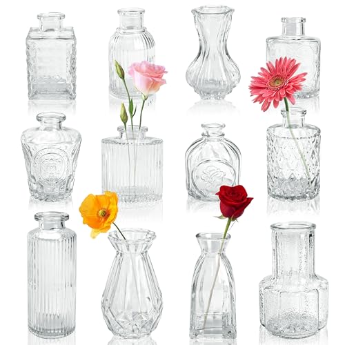 BTSD-home 12 Stück Vasen Set für Blumen, Kleine Vasen für Tischdeko, Hochzeitsdekorationen, Deko Wohnzimmer, rustikale Hochzeit Mittelstücke und Home Decor von BTSD-home