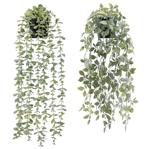 BTSD-home 2 Stück Kunstpflanze Künstliche Pflanzen Hängepflanze Künstlich Künstliche Hängepflanzen Fake Plant Kunstpflanzen Wand Für Wohnzimmer Wanddeko Zimmer Bücherregal Deko (Schwarze Töpfe) BTSD-home 2 Stück Kunstpflanze Künstliche Pflanzen Hängepflanze Künstlich Künstliche Hängepflanzen Fake Plant Kunstpflanzen Wand Für Wohnzimmer Wanddeko Zimmer Bücherregal Deko (Schwarze Töpfe) von BTSD-home