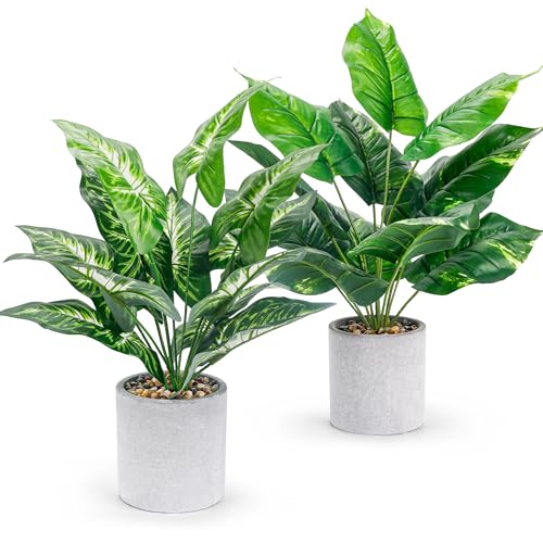 BTSD-home 2 Pack Fake Plants Kunstpflanze Tropische Kunstpflanzen wie echt Pflanzen künstlich Balkon Wohnzimmer Schlafzimme Deko 2 Stück BTSD-home 2 Pack Fake Plants Kunstpflanze Tropische Kunstpflanzen wie echt Pflanzen künstlich Balkon Wohnzimmer Schlafzimme Deko 2 Stück von BTSD-home