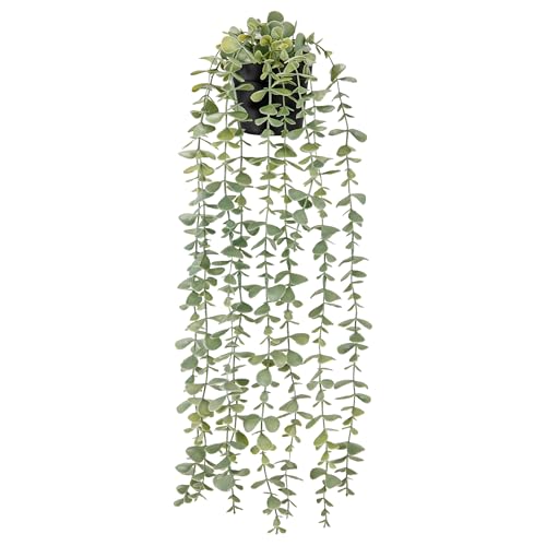 BTSD-home Kunstpflanze Künstliche Pflanzen Hängepflanze Künstlich Künstliche Hängepflanzen Fake Plant Kunstpflanzen Wand Für Wohnzimmer Wanddeko Zimmer Bücherregal Deko (Schwarze Töpfe) von BTSD-home