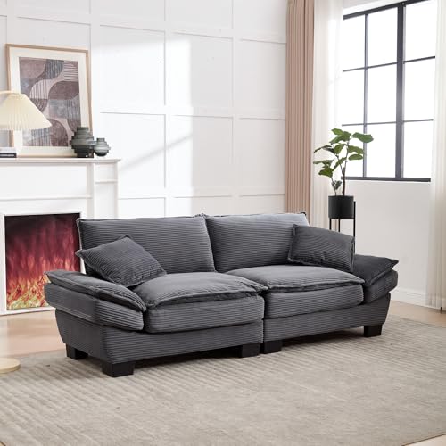 BTYJLEBE Sofa 2 Sitzer mit ultratiefe Sitz und seitlich Kissen geeignet für Langen Entspannung und Nickerchen - Moderner Samt Couch geeignet für Schlafzimmer Wohnzimmer (Dunkelgrau) von BTYJLEBE