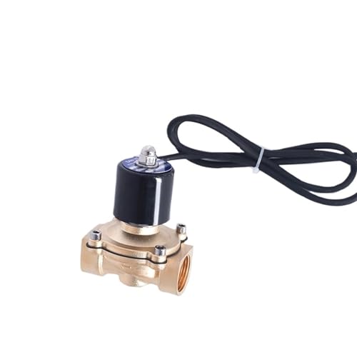 Messing-Magnetventil DC 24 V 1 Zoll for Musikbrunnen, wasserdicht, IP68, normalerweise geschlossen(Npt-24vdc,2A-25EPDM) von BTYKUYOO