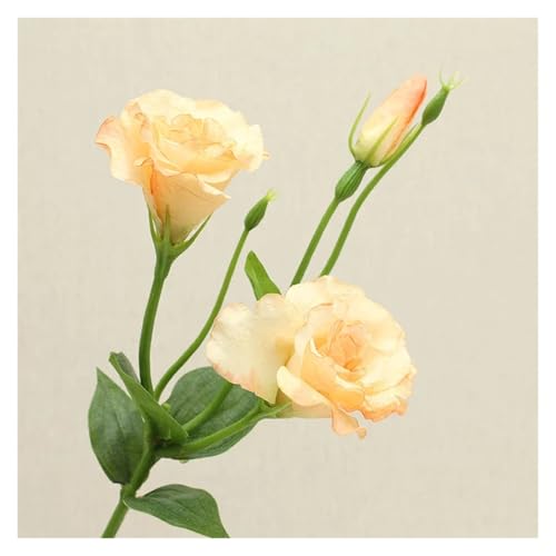 BTYQKZVPM Kunstblumen, 10 Stück künstliche Lisianthus-Seidenblumen mit 3 Köpfen, Mehrfarbig(Coral Orange) von BTYQKZVPM
