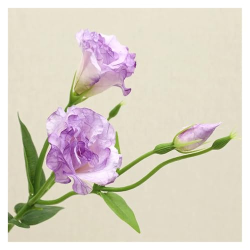 BTYQKZVPM Kunstblumen, 10 Stück künstliche Lisianthus-Seidenblumen mit 3 Köpfen, Mehrfarbig(Light Purple) von BTYQKZVPM