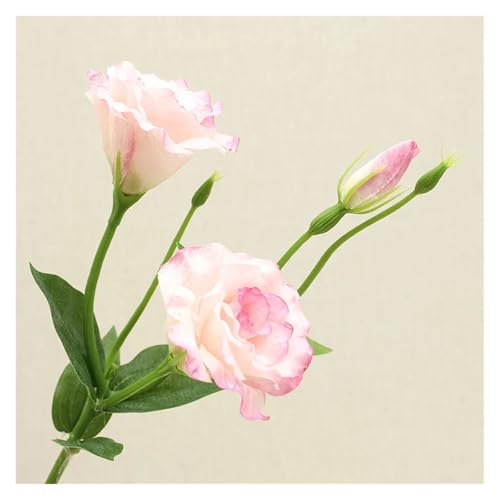 BTYQKZVPM Kunstblumen, 10 Stück künstliche Lisianthus-Seidenblumen mit 3 Köpfen, Mehrfarbig(Pink) von BTYQKZVPM