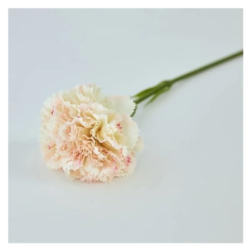 BTYQKZVPM Kunstblumen, 10er-Packung mehrfarbige künstliche Seidennelken, 28 cm(Light Pink) von BTYQKZVPM