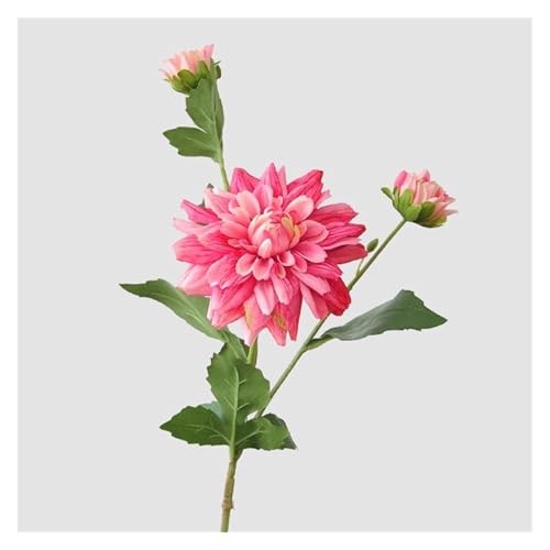 BTYQKZVPM Kunstblumen, 5er-Pack künstliche Dahlien-Seidenblumen mit 3 Köpfen, Mehrfarbig, 65 cm(Rose Red) von BTYQKZVPM