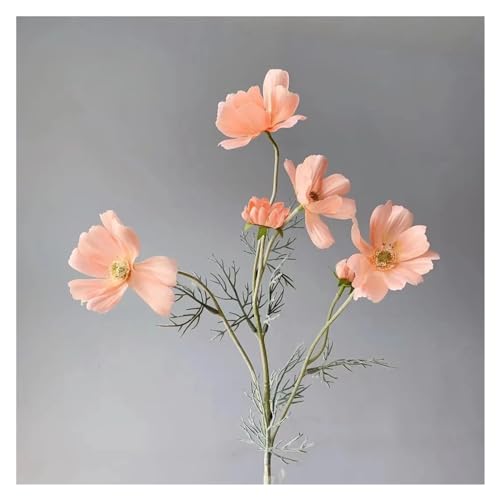 BTYQKZVPM Kunstblumen, 5er-Pack künstliche Kosmos-Seidenblumen, Mehrfarbig, 60 cm(Medium Coral Pink) von BTYQKZVPM