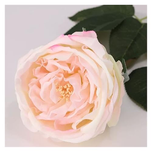 BTYQKZVPM Kunstblumen, Künstliche Austin Rose Blumen 6er Pack Multicolor Hochzeit Brautstrauß Home Decor(Milk Pink) von BTYQKZVPM