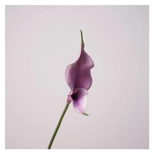 BTYQKZVPM Kunstblumen, Packung mit 5 Stück PU Künstliche Blume Calla Lily Alocasia Multicolor(Light Purple) von BTYQKZVPM