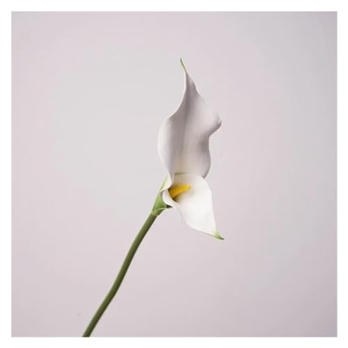 BTYQKZVPM Kunstblumen, Packung mit 5 Stück PU Künstliche Blume Calla Lily Alocasia Multicolor(White) von BTYQKZVPM
