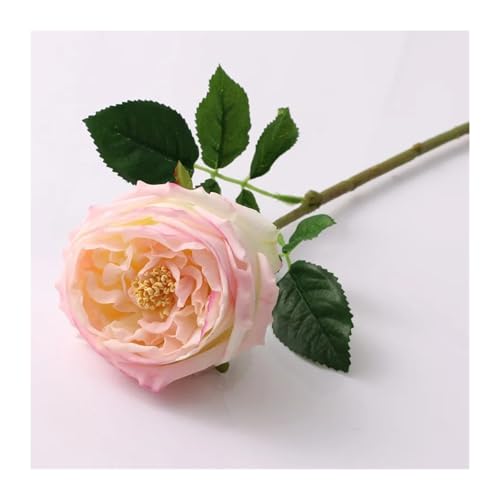 BTYQKZVPM Kunstblumen, Packung mit 5 künstlichen Austin Rose Blumen Multicolor for Hochzeit Brautstrauß Home Decor(Flesh Pink) von BTYQKZVPM