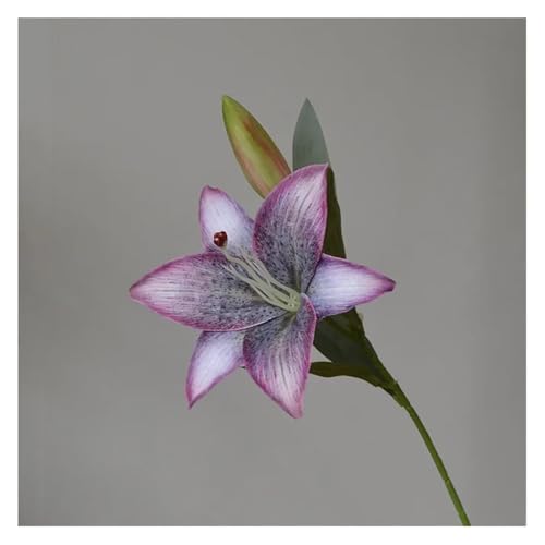 BTYQKZVPM Kunstblumen, Packung mit 5 mehrfarbigen 2-köpfigen Herbstdekor-Seidenlilienblumen for Hochzeitsdekor(Purple) von BTYQKZVPM
