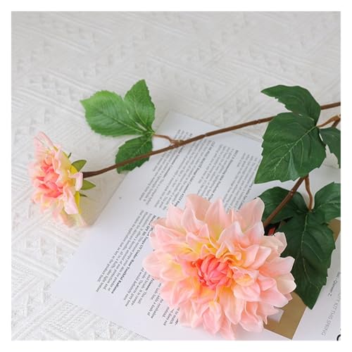 BTYQKZVPM Kunstblumen, Packung mit 5 mehrfarbigen 62 cm großen 2-köpfigen Seidendahlien(Champagne Pink) von BTYQKZVPM