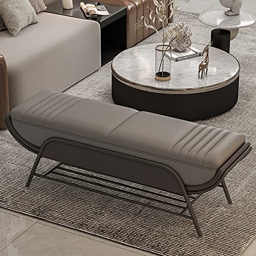 BTYQKZVPM Repose-Pieds Ottomane aus Leder, Schuhregal Bank Eingangsbereich Bettbank Fußstütze Hocker Holz Metall Leder Multicolor Mehrere Größen(G,100x40x45cm(39x16x18inch)) von BTYQKZVPM