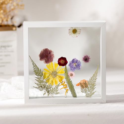 BTYQKZVPM geprägter Glas-Bilderrahmen, Doppelseitiger Acrylrahmen, dekoratives schwebendes Display for Postkarten(White,7 Inches 11.8 * 16.1cm:) von BTYQKZVPM