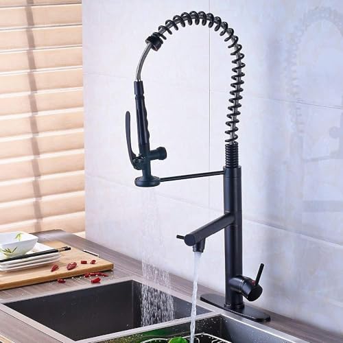 Einziehbarer Wasserhahn für Spüle, Küchenarmatur mit herausziehbarer und abschließbarer Brause, für gewerbliche Nutzung zu Hause (Schwarz mit Platte) von BTYQKZVPM