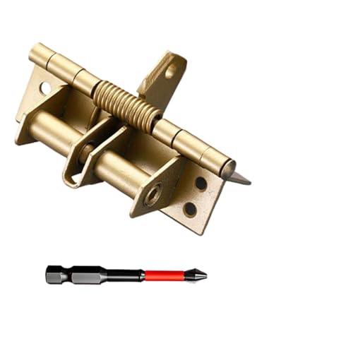 Scharniere, Positionierungs-Türschließer, Gefederte Scharniere, automatisch verstellbar, mit Schrauben for Türen, Schränke, Tore(1pc golden) von BTYQKZVPM