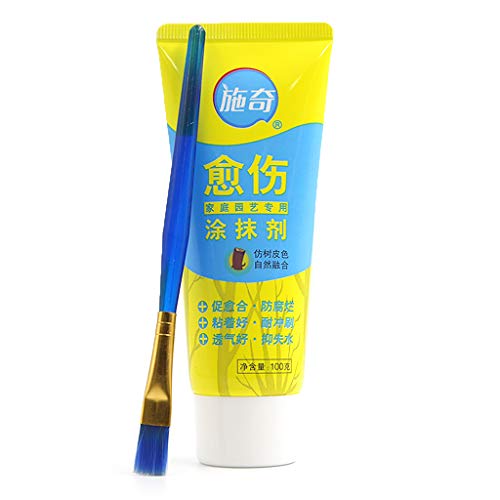 100 G Baum Wund Bonsai Geschnittener Abstrich Agenten Schnittverbindungsversiegel Mit Pinselkuchenform Schimmelpilzform Set Backträme Mousse Kochgeschirr Cupcake Pan Silikon Metall Herstellung von BUBEFSKD