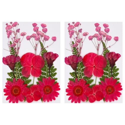 20pcs Natürliche Getrocknete Für Epoxidharz Basteln Trockene Blüten Und Blätter Seifen Kerzenschmuck Die Scrapbooking Getrocknete Blumendekoration Zuhause Machen von BUBEFSKD