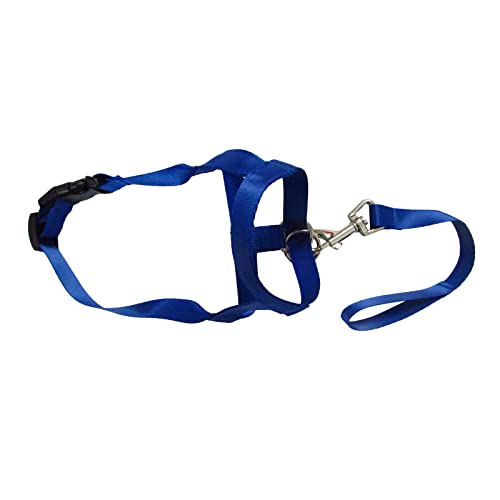 BUBEFSKD Anti Barking Hundemündung Für Hunde Verstellbare Nylonlüftung Pet Mund Mundgeräte Hundezubehör Beschützer Die Pflege BUBEFSKD Anti Barking Hundemündung Für Hunde Verstellbare Nylonlüftung Pet Mund Mundgeräte Hundezubehör Beschützer Die Pflege von BUBEFSKD