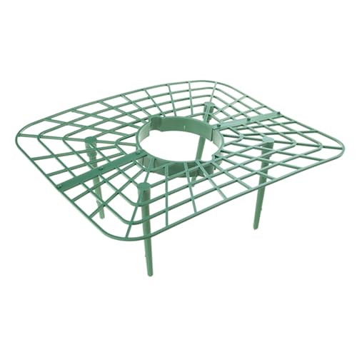 BUBEFSKD 1/6/8pcs Erdbeer Pflanzen Unterstützung Für Den Sauberen Wachstum des Wachstums des Wachstums Von Gemüsekäfigen Von Garten Die Sauber Wachsen von BUBEFSKD