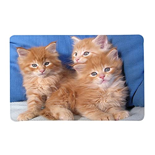 BUBEFSKD 40x60 cm Süß Für Katzen Tiermuster Fußmat Toilettenmatte Badezimmer Teppich Teppich Nicht Rutschküche Wohnzimmer Bodenmatten Bodenmatten Für Kinder von BUBEFSKD