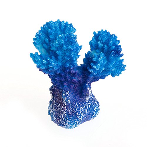 BUBEFSKD Aquariumdekor Kleine Polyresin Korallen Ornamente Fisch Für Tank Künstliche Harz Versteck Dekorationen Heizung Heizung Licht Thermometer Pflanzen Luftpumpe BUBEFSKD Aquariumdekor Kleine Polyresin Korallen Ornamente Fisch Für Tank Künstliche Harz Versteck Dekorationen Heizung Heizung Licht Thermometer Pflanzen Luftpumpe von BUBEFSKD