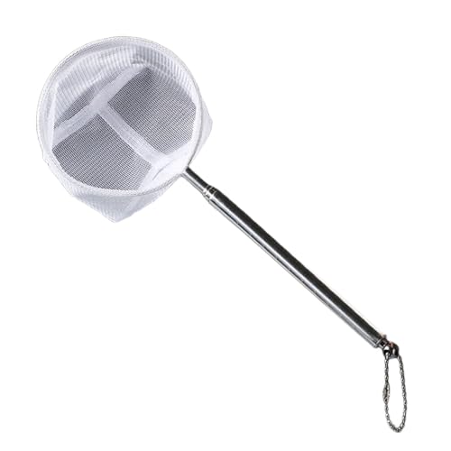 BUBEFSKD Ausleitbare Fischereinetz Garnelen Für Fischtanks Aquarien Edelstahl Leicht Zu Reinigen Teleskopisch Einstellbares Netz BUBEFSKD Ausleitbare Fischereinetz Garnelen Für Fischtanks Aquarien Edelstahl Leicht Zu Reinigen Teleskopisch Einstellbares Netz von BUBEFSKD