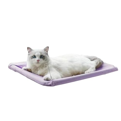 BUBEFSKD Haustier Hängematte Hanging Bett Mit Saugnäpfeln Feste Farbe Waschbar Schlafbarer Katze Hanges Nest Atmungsable Waschkatze Katze BUBEFSKD Haustier Hängematte Hanging Bett Mit Saugnäpfeln Feste Farbe Waschbar Schlafbarer Katze Hanges Nest Atmungsable Waschkatze Katze von BUBEFSKD