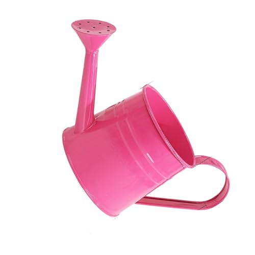 BUBEFSKD Metallwässerung Kann Gartenblüte Ersatz Für Pflanzliche Innenhochzeit Freien Hochzeitsnutzung Ergonomische Griffgartenwässerung Dose BUBEFSKD Metallwässerung Kann Gartenblüte Ersatz Für Pflanzliche Innenhochzeit Freien Hochzeitsnutzung Ergonomische Griffgartenwässerung Dose von BUBEFSKD