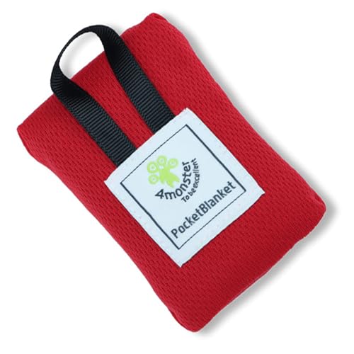 BUBEFSKD Schnell Trocknende Stranddecke Verdicken Zelt Freien Picknicks Matte Sand Strand Für Reisen Und Aktivität Tränenresistentes Camping Freien von BUBEFSKD