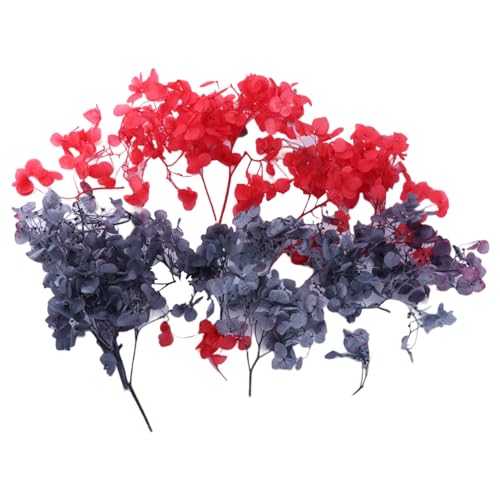 Bunt 100 Pcs Echt Getrocknet Gepresste Blütenblätter Gepresste Blumen Für Kunst NAGE Pendell Handwerk Machen Kunstblumen Dekore Hasenschwänze Getrocknete Blumen Bunt 100 Pcs Echt Getrocknet Gepresste Blütenblätter Gepresste Blumen Für Kunst NAGE Pendell Handwerk Machen Kunstblumen Dekore Hasenschwänze Getrocknete Blumen von BUBEFSKD